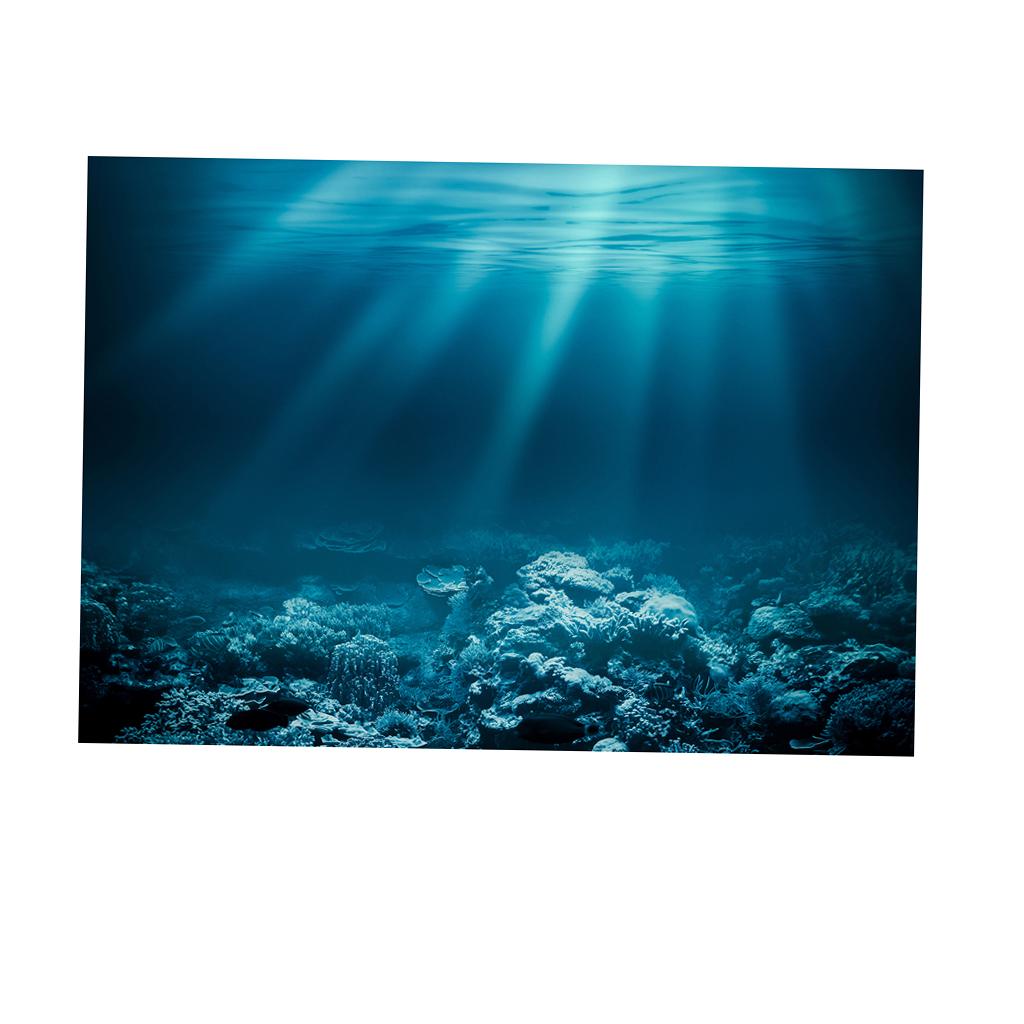 Fish Tank Adhesive Poster PVC  - đánh giá và giá Fish In Aquarium Picture