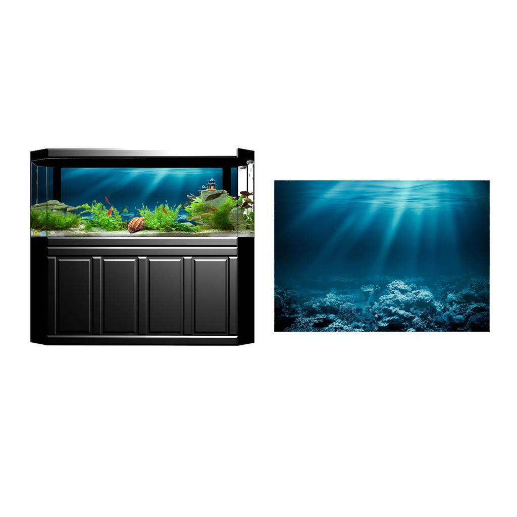 Fish Tank Adhesive Poster PVC  - đánh giá và giá Fish In Aquarium Picture