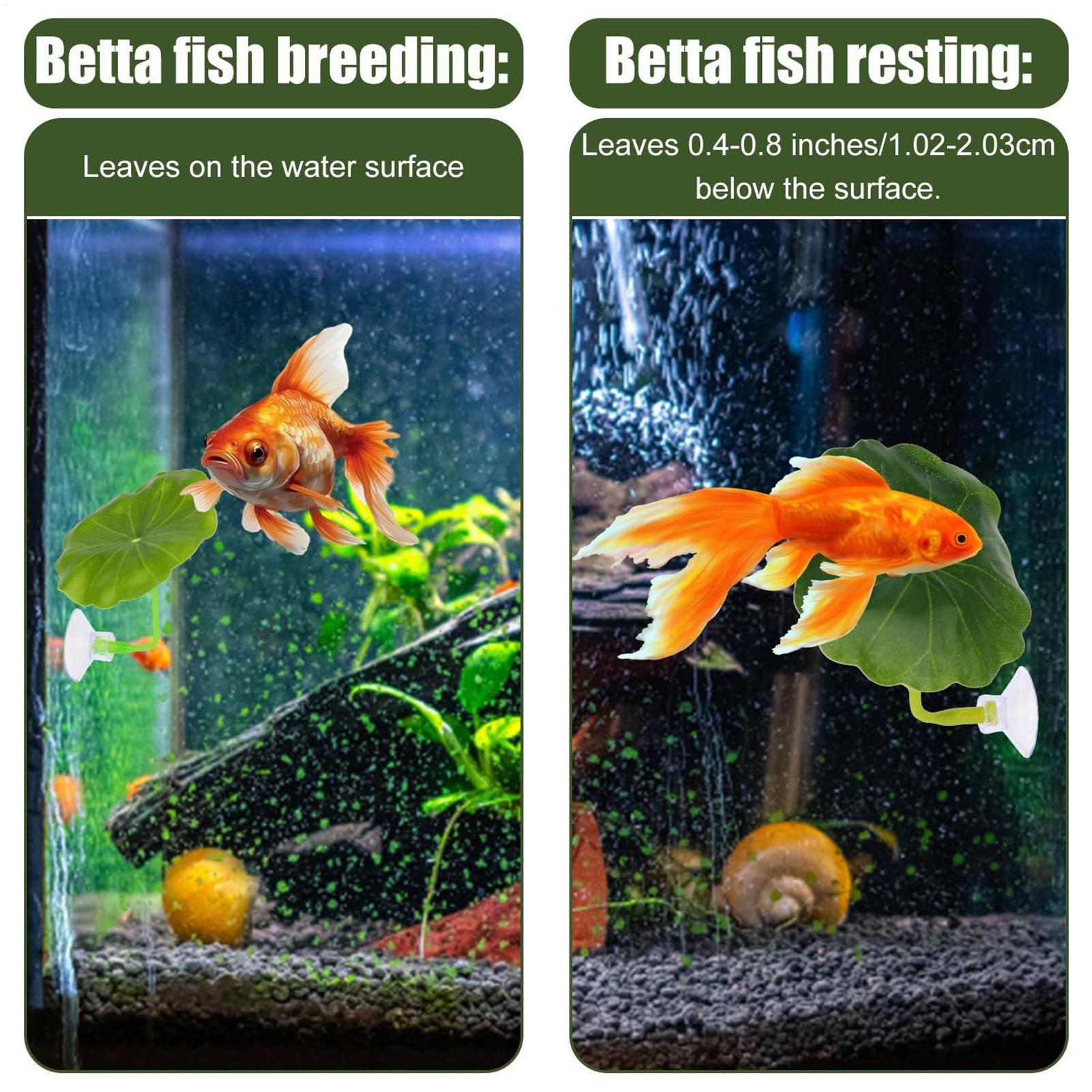 Betta Fish Hammock 5 Pieces Ad - đánh giá và giá Fish Toy In Aquarium