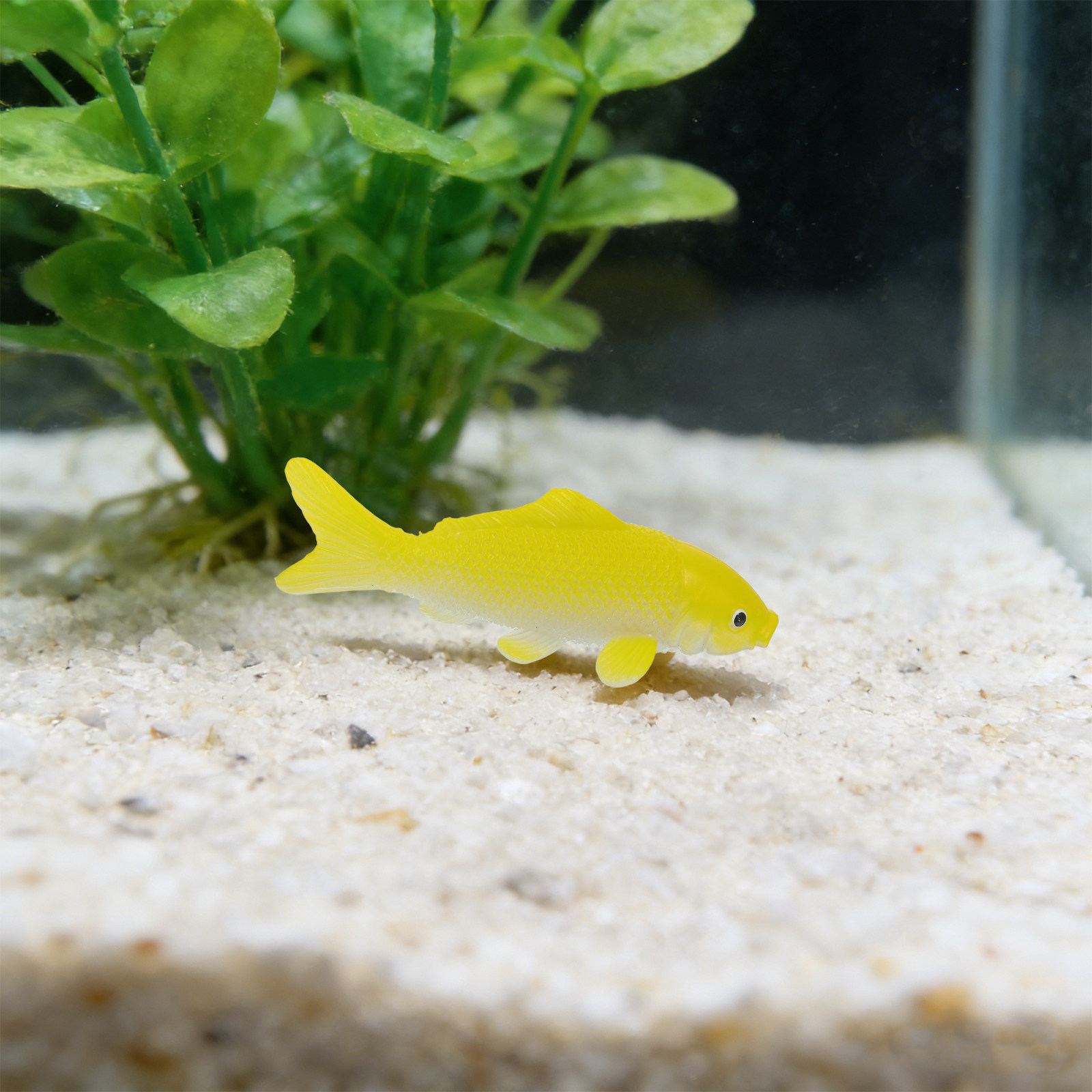 3pcs Fish Crafts Toys Realisti - đánh giá và giá Fish Toy In Aquarium
