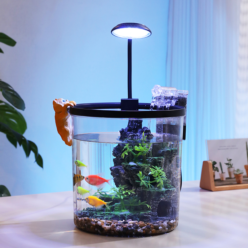 Compact Round Goldfish Bowl -  - đánh giá và giá Aquarium Fish Goldfish