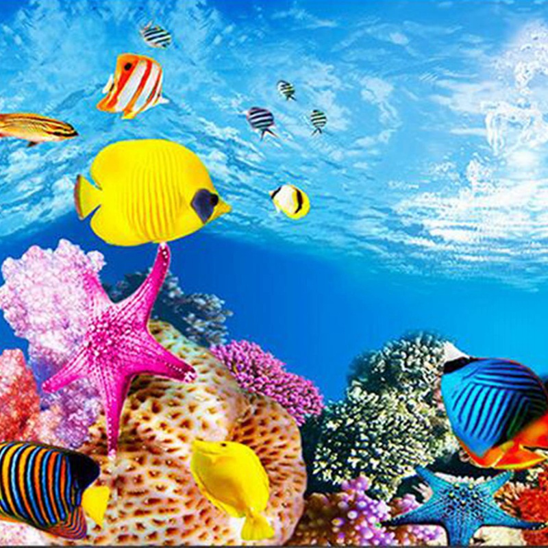 BAAU Aquarium Background Paper - đánh giá và giá Fish In Aquarium Picture