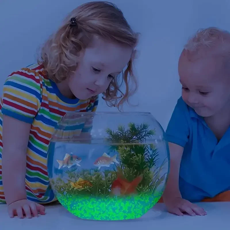 1000pcs 3-5mm Luminous Sand Gl - đánh giá và giá Aquarium Fish Store