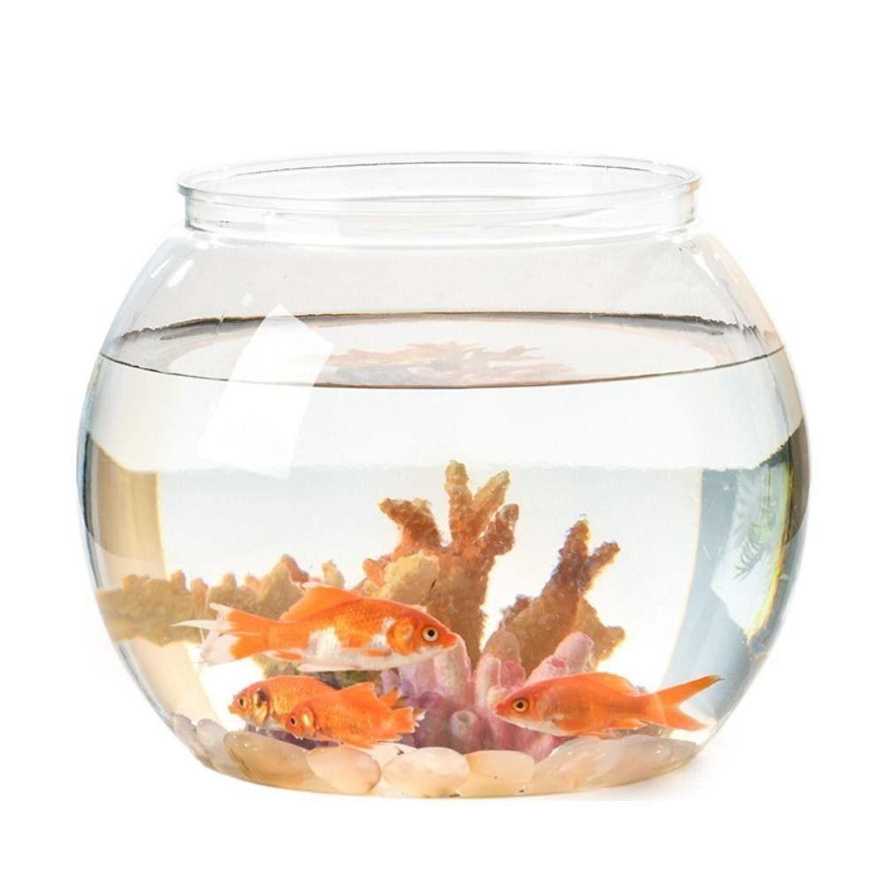 Portable Transparent Fish Tank - đánh giá và giá Aquarium Fish Goldfish