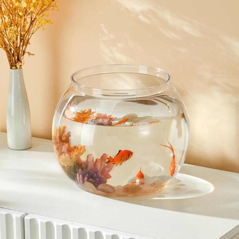 Portable Transparent Fish Tank - đánh giá và giá Aquarium Fish Goldfish