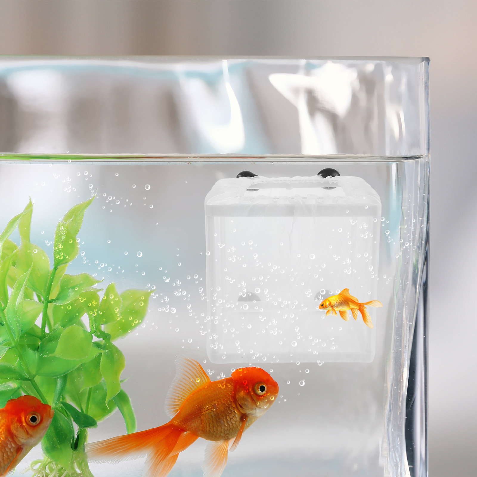 2Pcs Fish Breeding Box Aquariu - đánh giá và giá Aquarium Fish Net Small