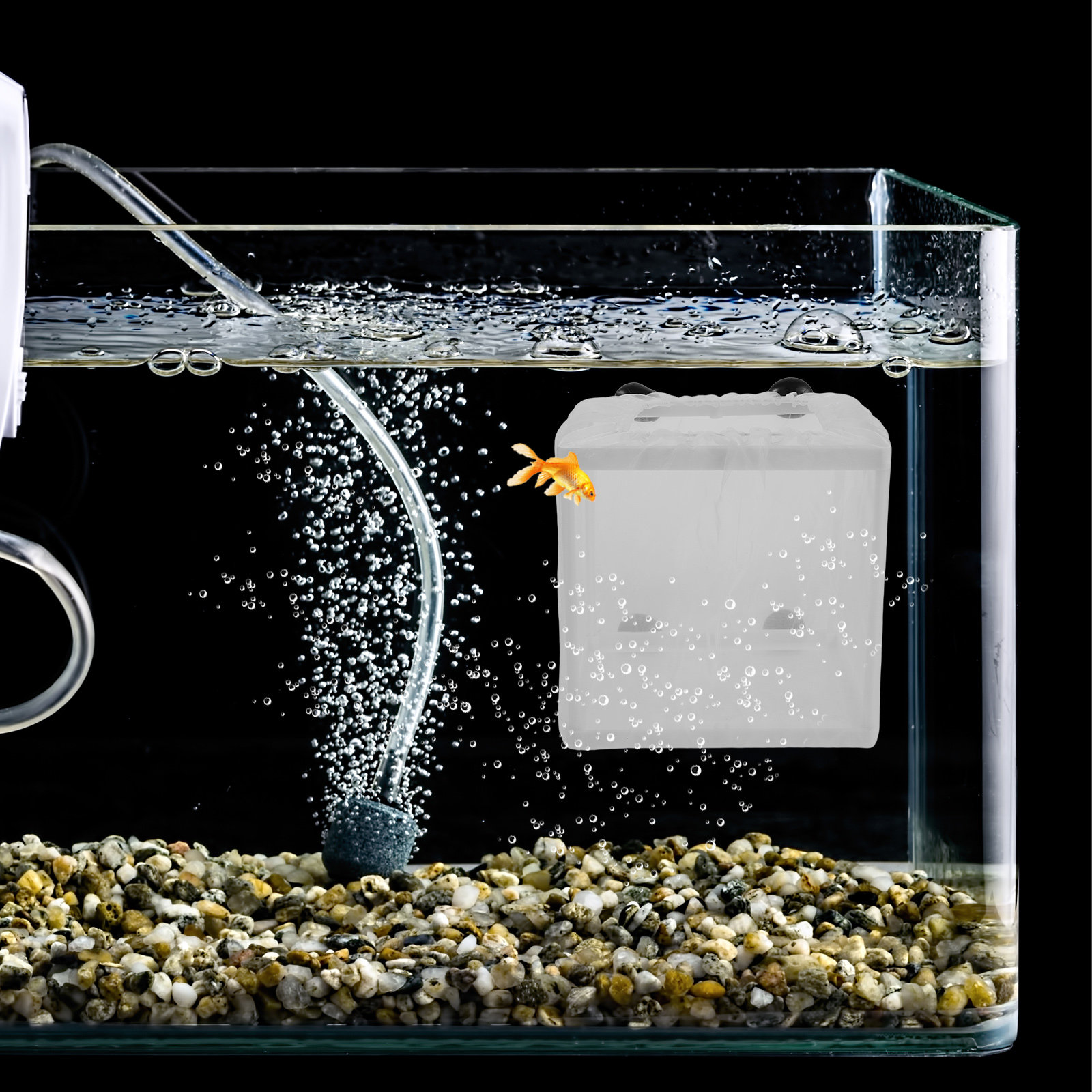 2Pcs Fish Breeding Box Aquariu - đánh giá và giá Aquarium Fish Net Small