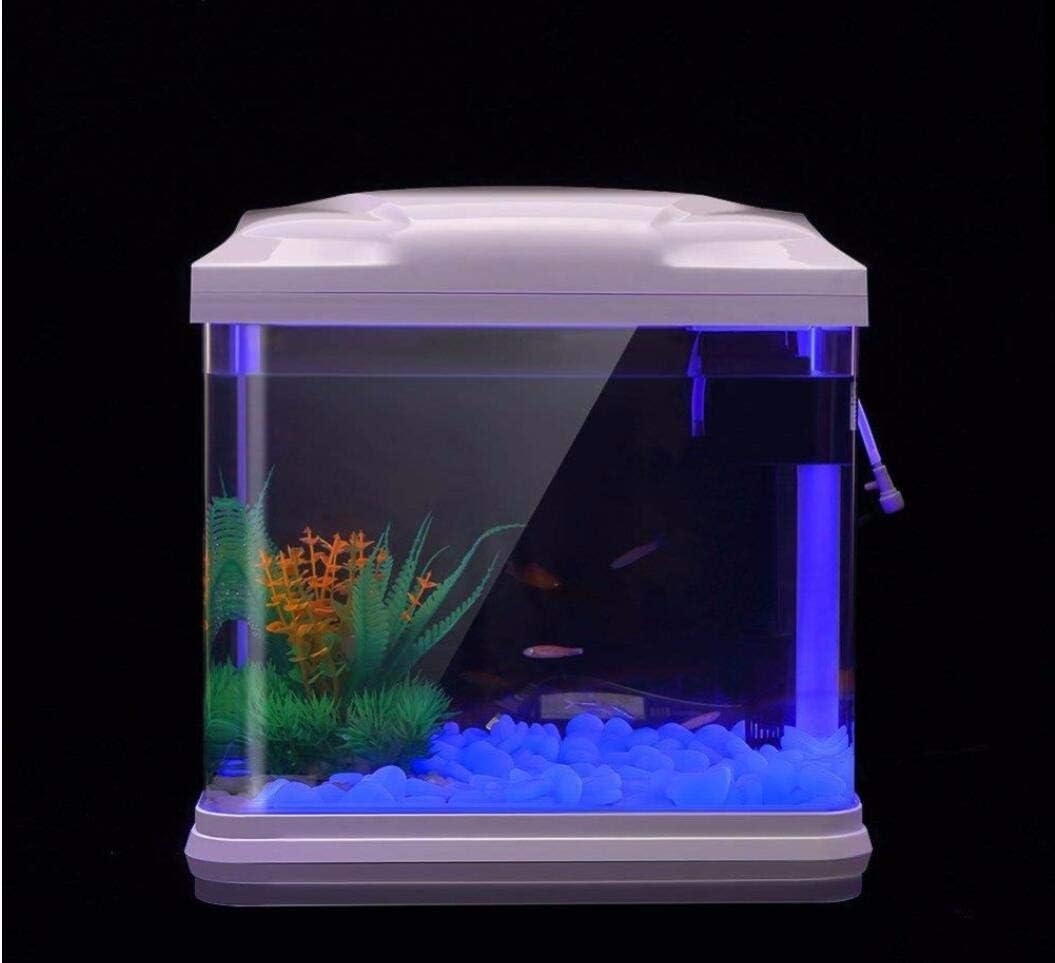 Fish Tank Rocks Glow Blue Pebb - đánh giá và giá Aquarium Fish Photography
