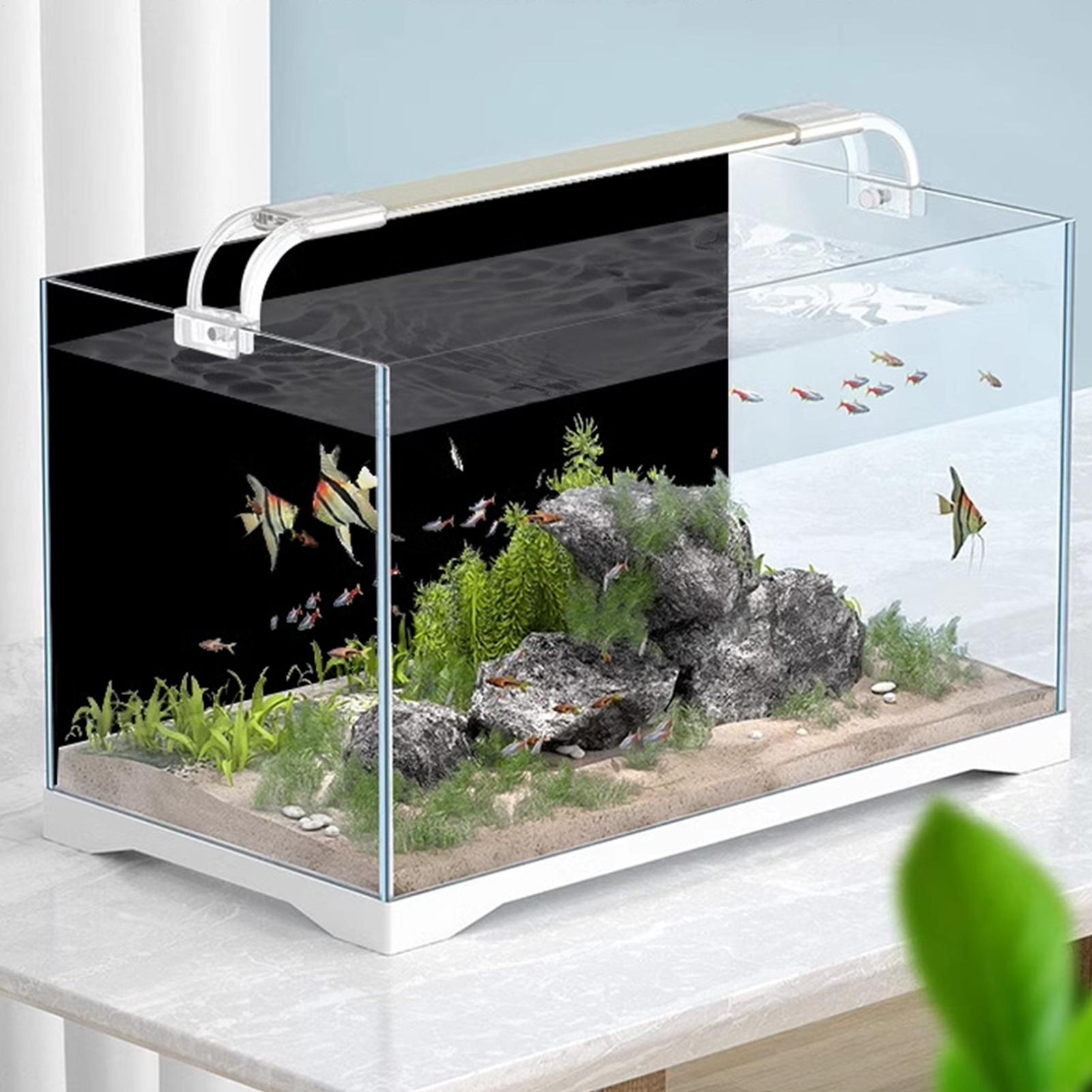 Black Aquarium Background Pict - đánh giá và giá Fish In Aquarium Picture