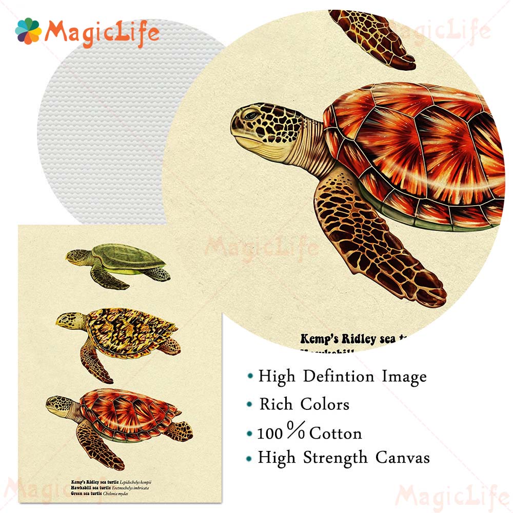 Vintage Sea Fish Tortoise Shar - đánh giá và giá Fish In Aquarium Picture