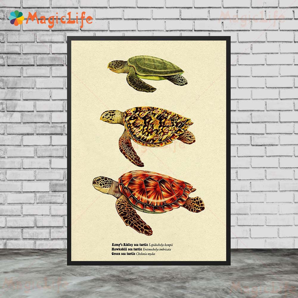 Vintage Sea Fish Tortoise Shar - đánh giá và giá Fish In Aquarium Picture