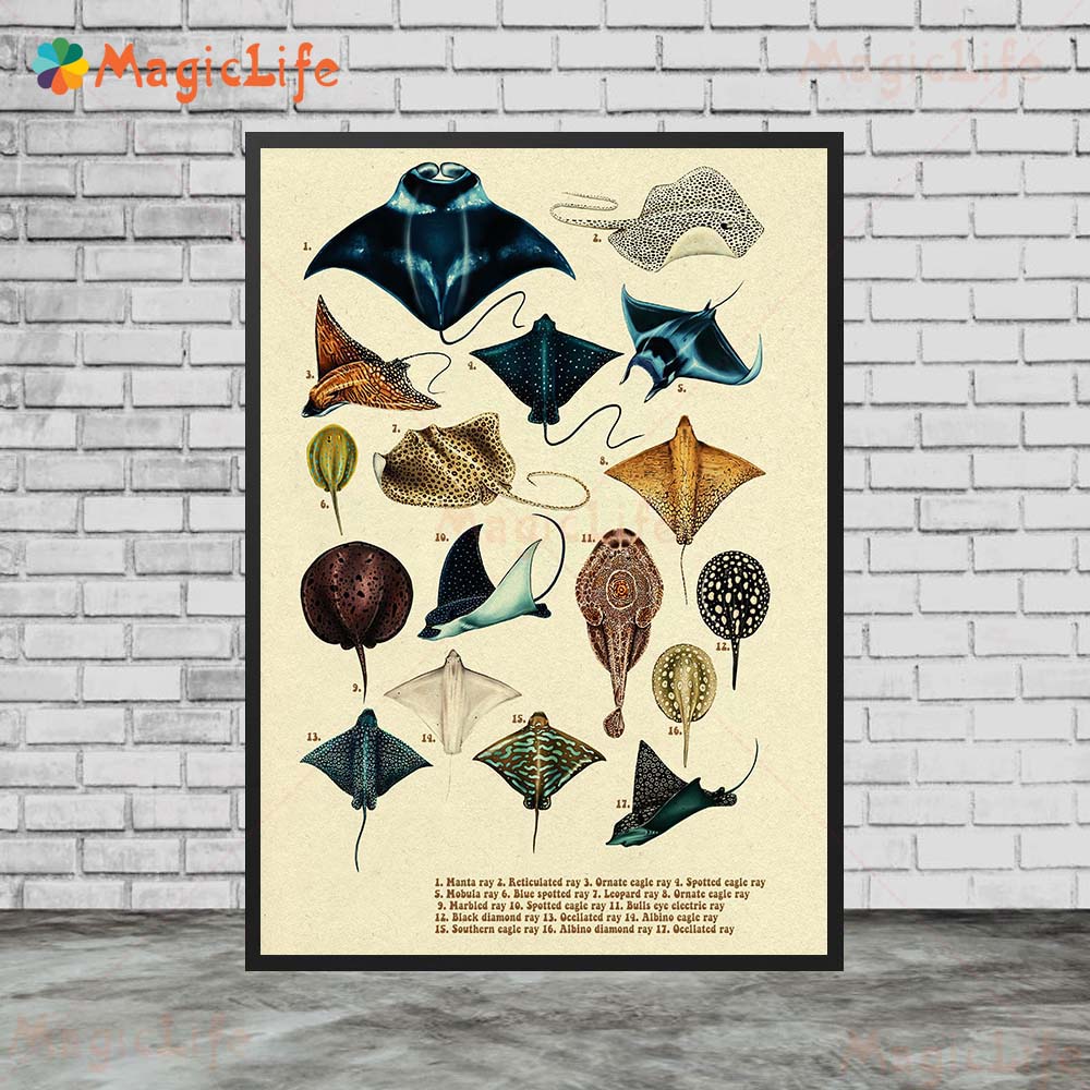 Vintage Sea Fish Tortoise Shar - đánh giá và giá Fish In Aquarium Picture
