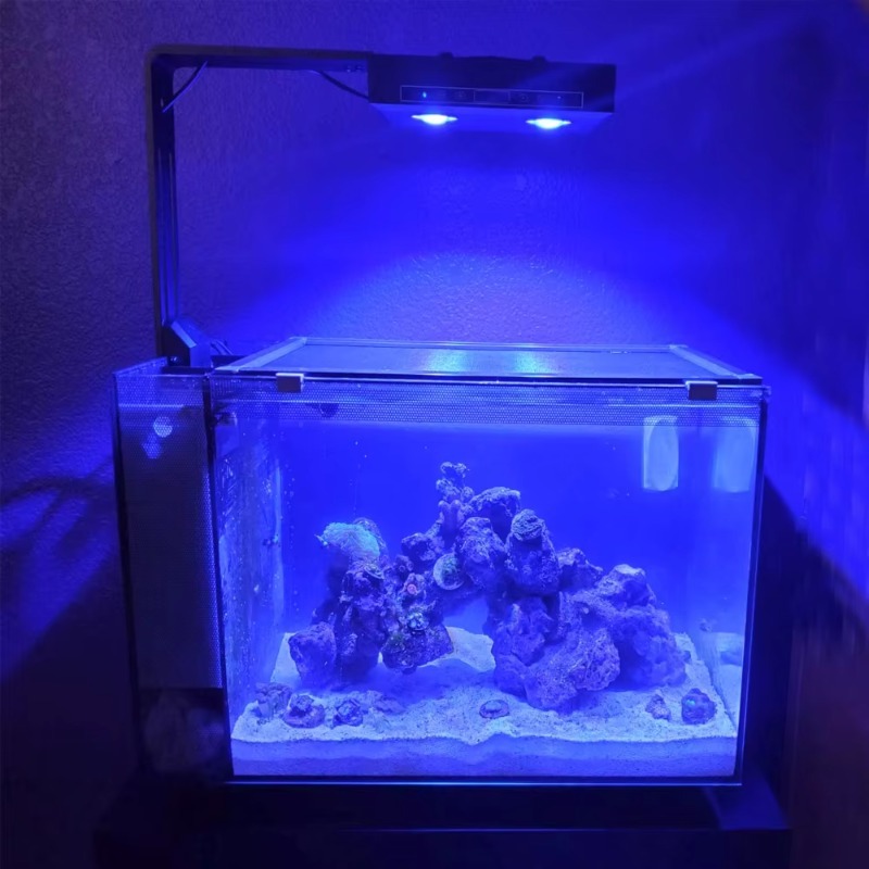 China Supplier Dimmable 95W Fu - đánh giá và giá Aquarium Fish Supplier