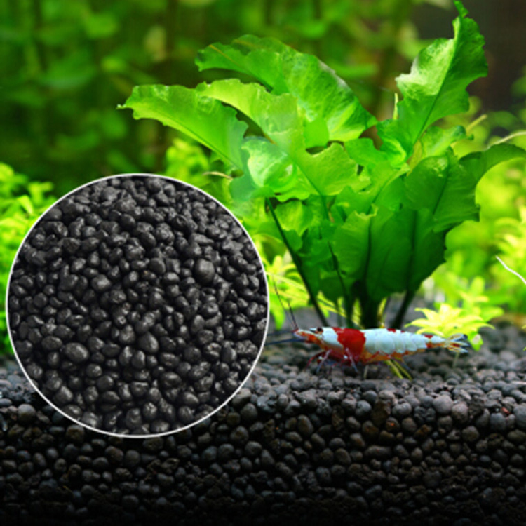 Bể Cá Cảnh Vật Có Hạt Đất Fish - đánh giá và giá Aquarium Fish Store