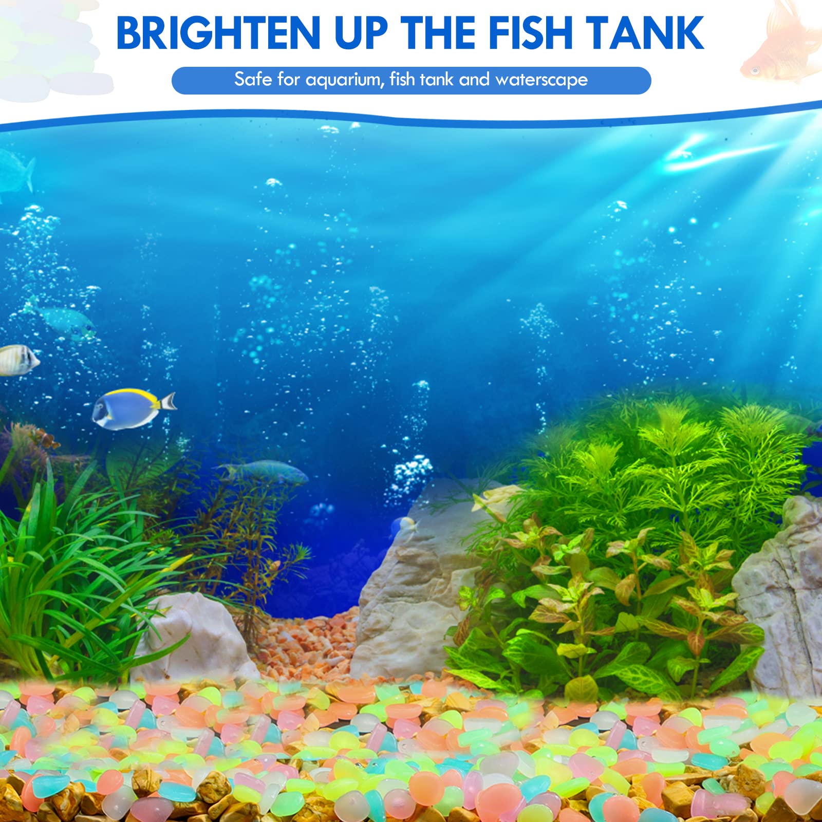 100Pcs Glow in the Dark Garden - đánh giá và giá Aquarium Fish Store