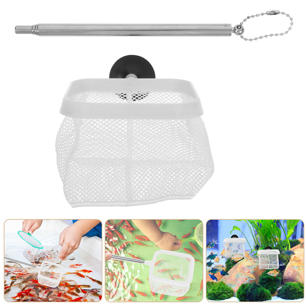 2Pcs Stainless Steel Extendabl - đánh giá và giá Aquarium Fish Net Small
