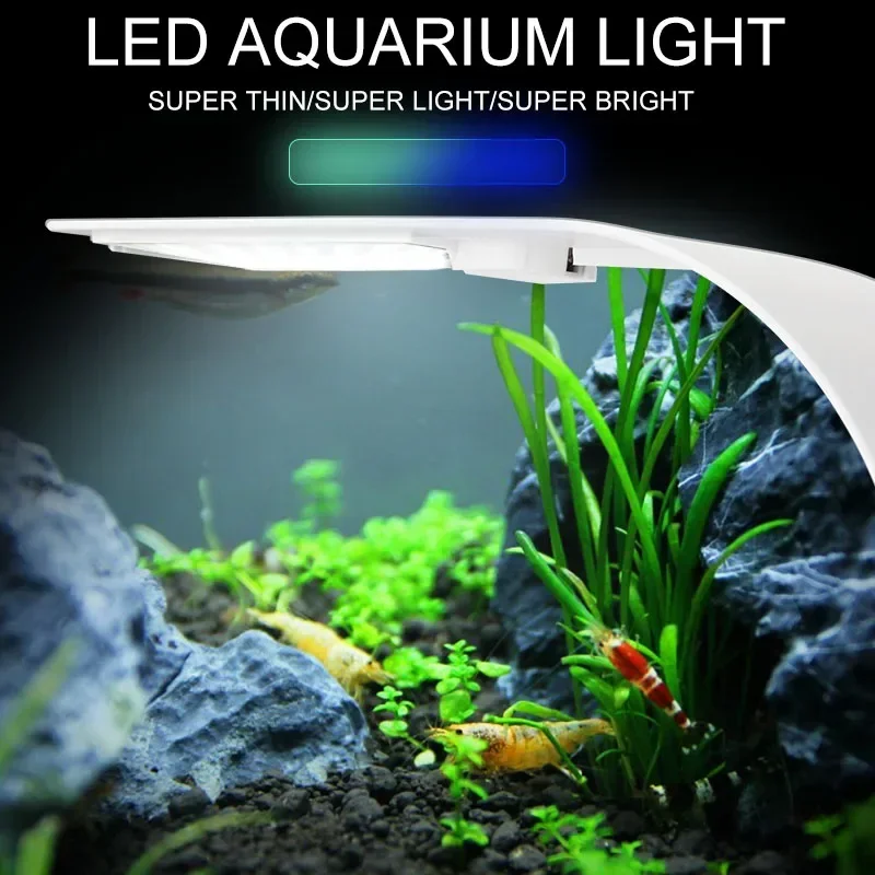 Ultra Thin LED Aquarium Light  - đánh giá và giá Fish In Aquarium Picture