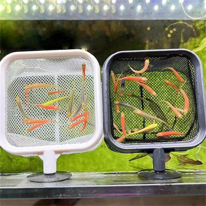 AquariumFish Fishing Net Stain - đánh giá và giá Aquarium Fish Net Small