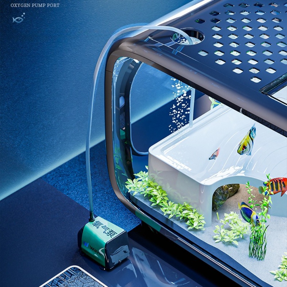Transparent Luxury Fish Tank D - đánh giá và giá Aquarium Fish Goldfish