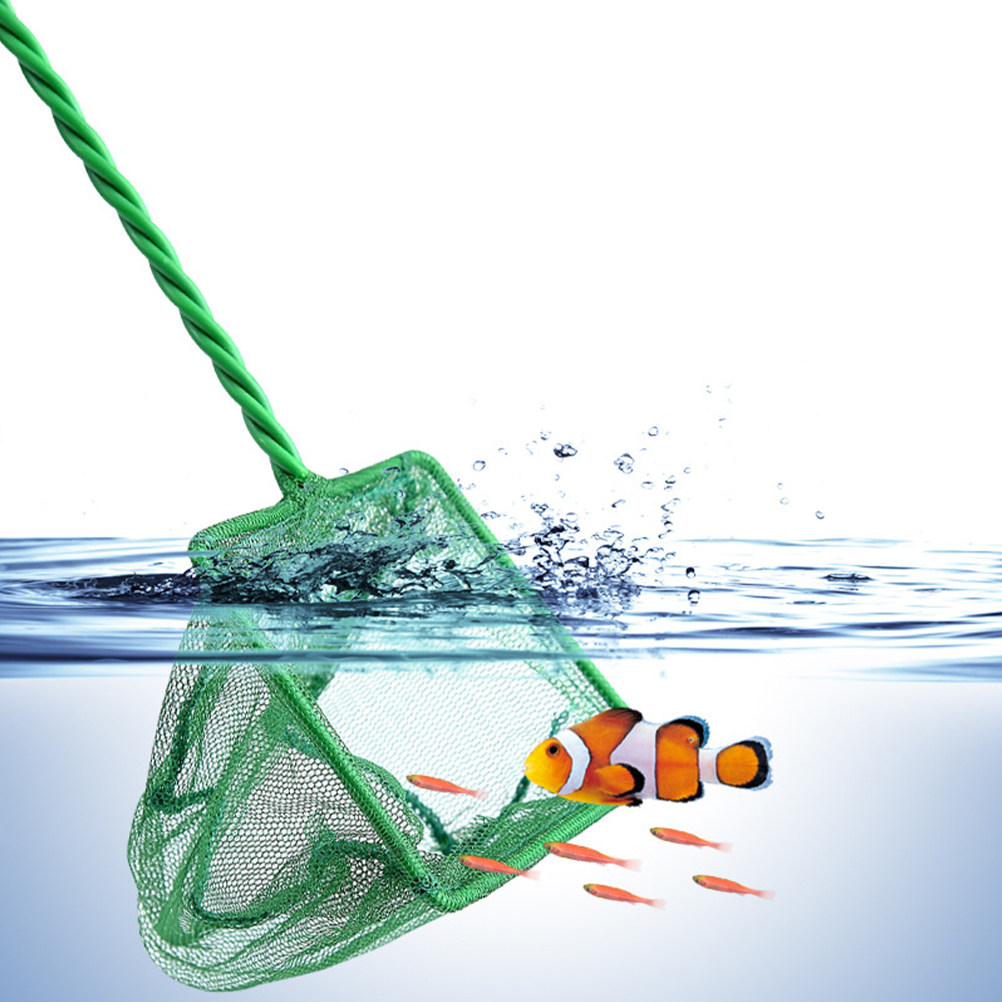 2Pcs Portable Fish Net Aquariu - đánh giá và giá Aquarium Fish Net Small