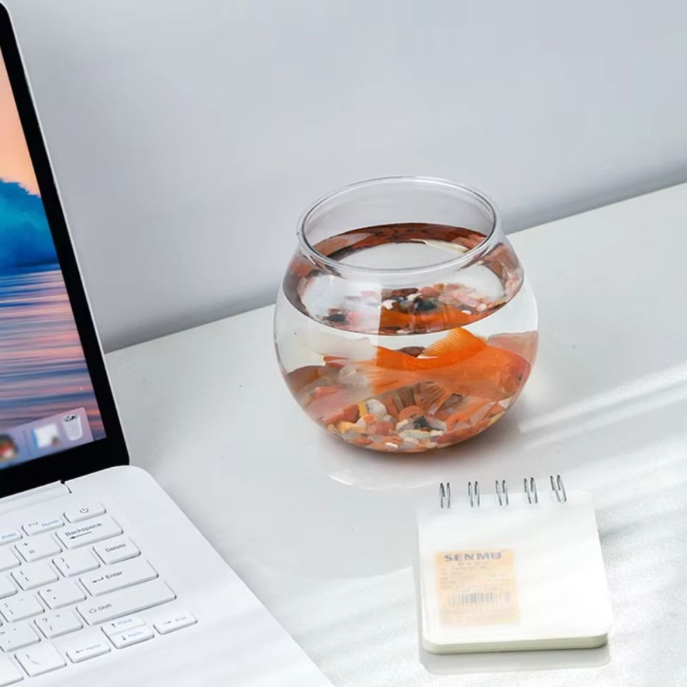 New Transparent Fish Tank Roun - đánh giá và giá Aquarium Fish Fishing