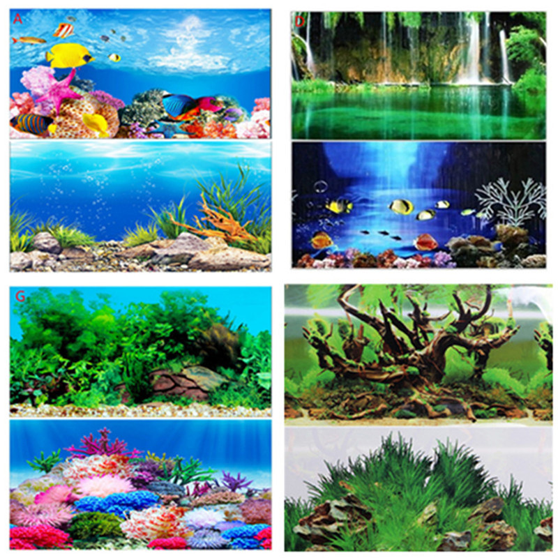 30CM 40CM High Glossy Double S - đánh giá và giá Fish In Aquarium Picture
