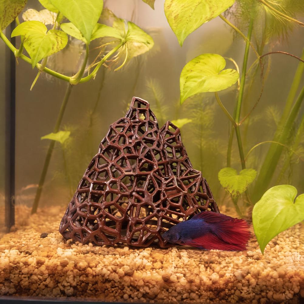 Aquatic Landscape Ornament Aqu - đánh giá và giá Fish In Aquarium Picture
