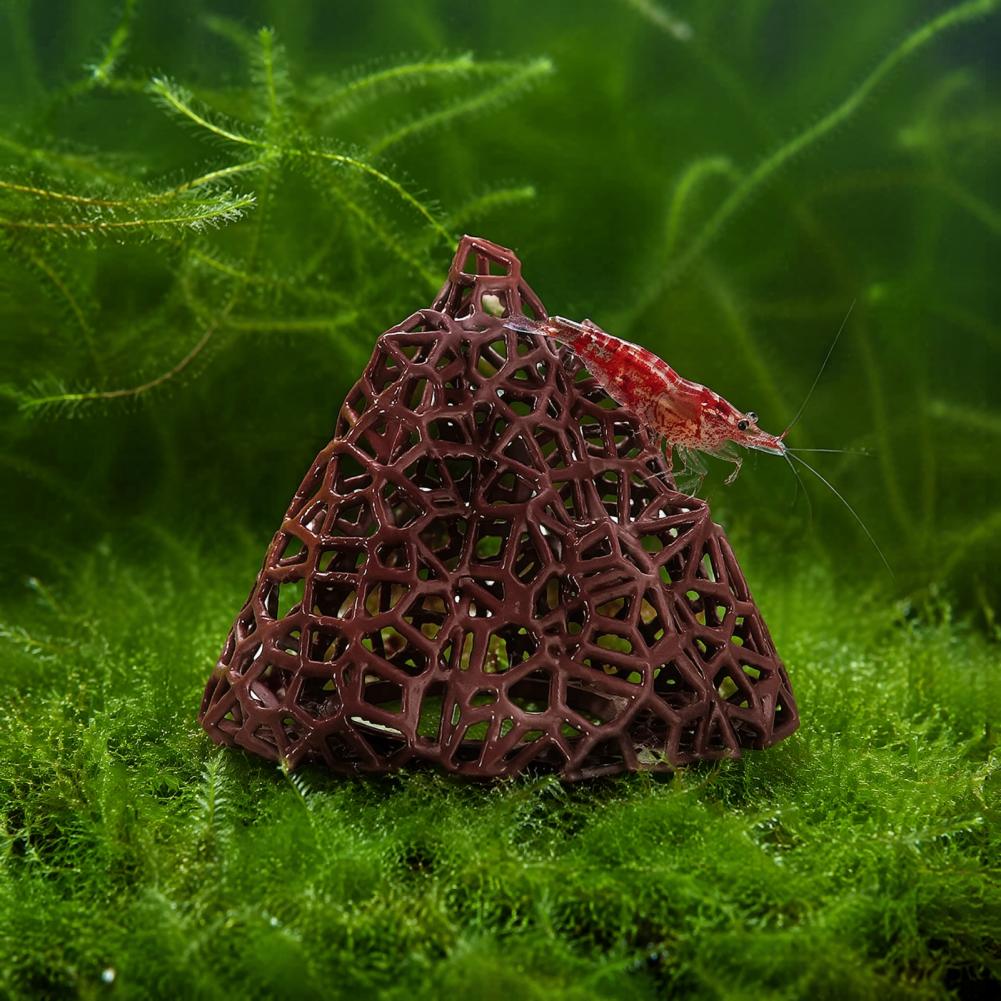 Aquatic Landscape Ornament Aqu - đánh giá và giá Fish In Aquarium Picture