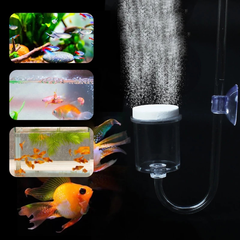 4pcs Set DIY CO2 Diffuser For  - đánh giá và giá Aquarium Fish Photography