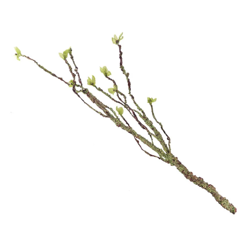 Vines Decor Climbing Branches  - đánh giá và giá Aquarium Fish Fishing