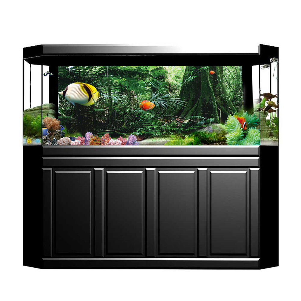 PVC Reptile Box Rainforest Bac - đánh giá và giá Fish In Aquarium Picture