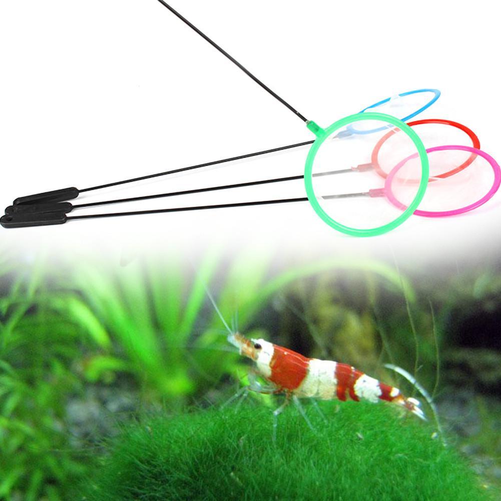 1/5/10pc Colorful Aquarium Fis - đánh giá và giá Aquarium Fish Net Small