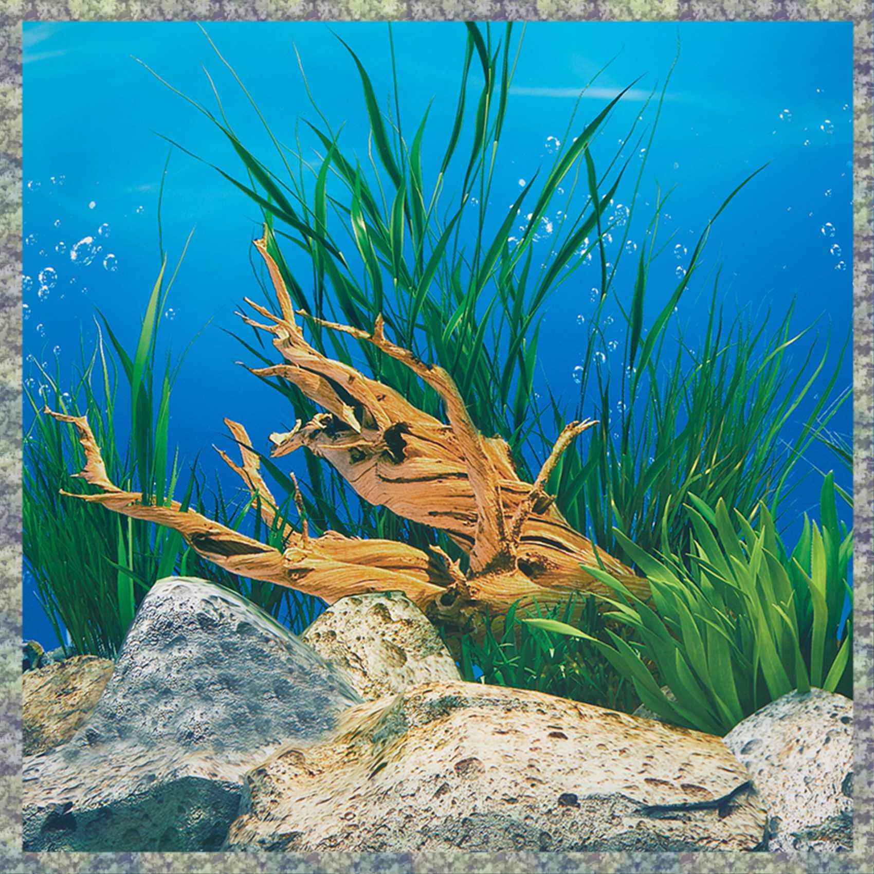 WON Aquarium Background Paper  - đánh giá và giá Fish In Aquarium Picture