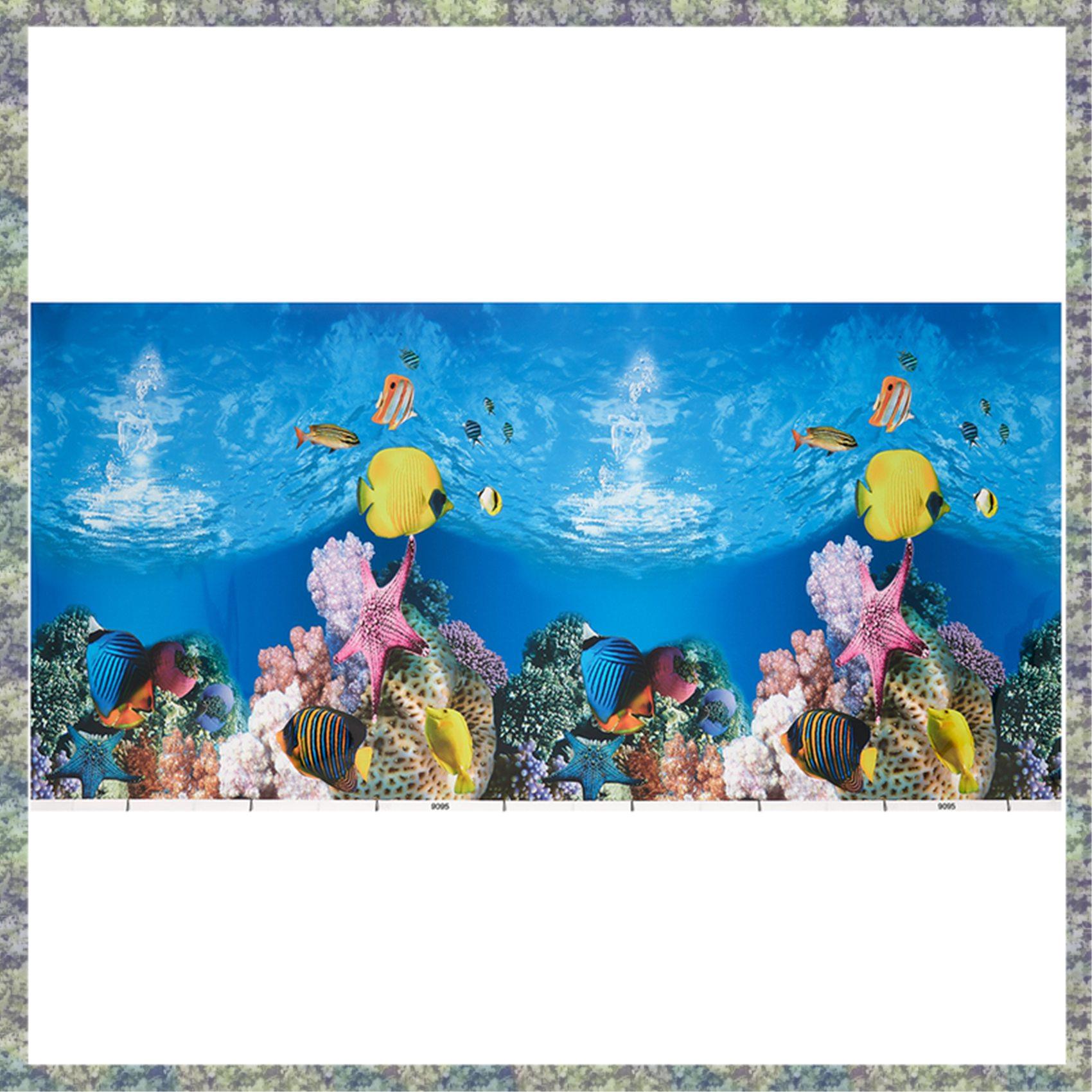 WON Aquarium Background Paper  - đánh giá và giá Fish In Aquarium Picture