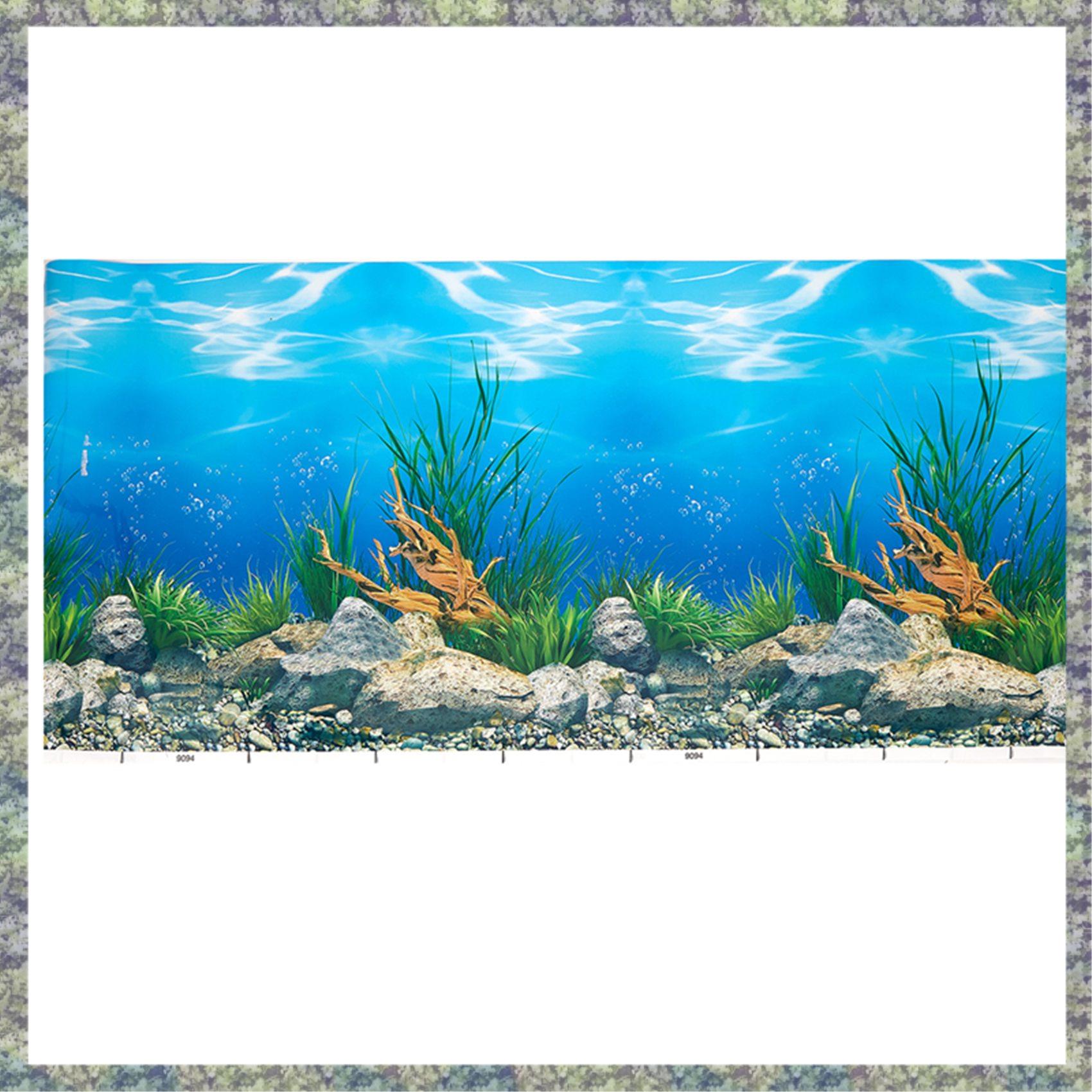 WON Aquarium Background Paper  - đánh giá và giá Fish In Aquarium Picture